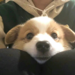 프로필 사진