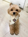 프로필 사진