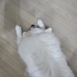 프로필 사진