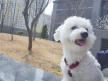 프로필 사진
