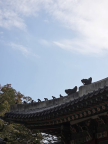 프로필 사진