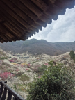 프로필 사진