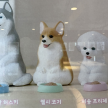 프로필 사진