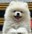 프로필 사진