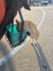 프로필 사진