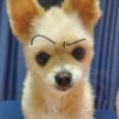 프로필 사진