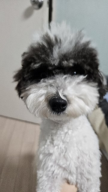 프로필 사진