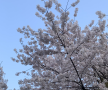 프로필 사진