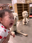 프로필 사진