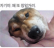 프로필 사진