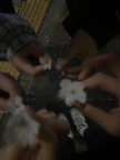프로필 사진