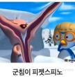 프로필 사진
