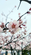 프로필 사진