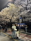 프로필 사진