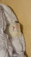 프로필 사진