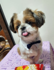 프로필 사진