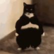 프로필 사진