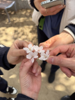 프로필 사진