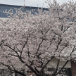 프로필 사진