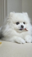 프로필 사진