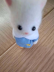 프로필 사진