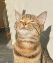 프로필 사진