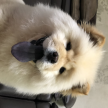 프로필 사진