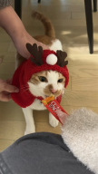프로필 사진