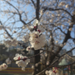 프로필 사진