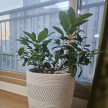 프로필 사진
