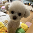 프로필 사진