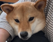 프로필 사진