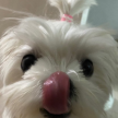 프로필 사진