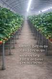 프로필 사진