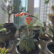 프로필 사진