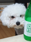 프로필 사진