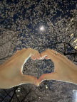 프로필 사진