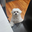 프로필 사진