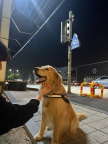 프로필 사진