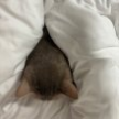 프로필 사진