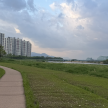 프로필 사진