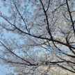 프로필 사진