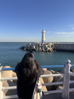 프로필 사진