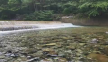 프로필 사진