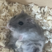 프로필 사진