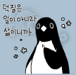프로필 사진