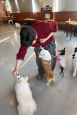 프로필 사진