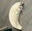 프로필 사진