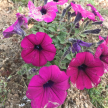 프로필 사진