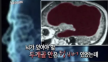 프로필 사진